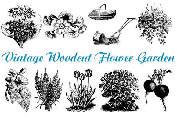 Discover the Charm of 74 Woodcut Vintage Floral Border Dividers
