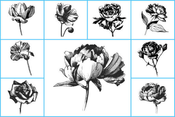 Floral Vintage Retro for Monogram Rose: A Versatile Design Collection