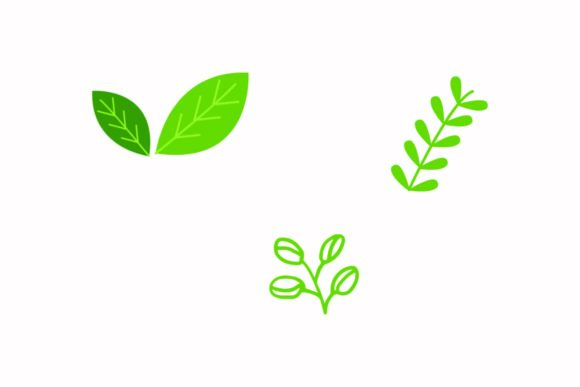 Strategic Use of Sunflower Summer Floral Leaves for Enhanced Visual Branding